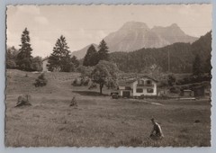 near Füssen 1962-residential buildings-old photo 1960s