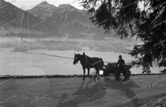 Negative-Oberstdorf-Allgäu-winter-landscape-horse team-04.12.1937-318