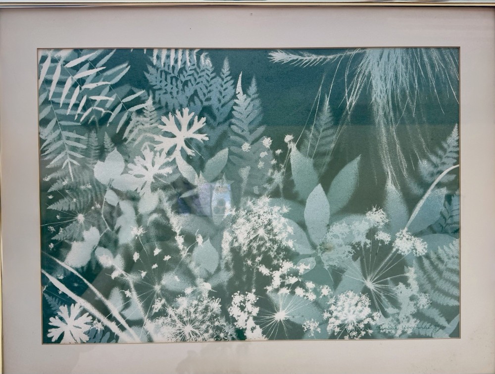 Margaret Standish Woodhouse, Botanical Cyanotype, California, 1989