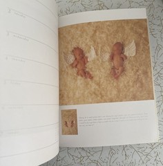 Anne Geddes Address Book & A Special Edition 2002 Calendar