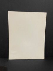 Large Photo Analogue Halter Neck Female 1970 Curiosa Erotica Portrait Fetish