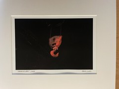 Monmouth University Mark Ludak, MFA Signed Photo Red Hook 2004