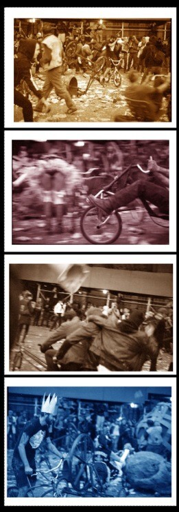 Janine Gordon Photograph 60″x24″ C-print Edition Grid Bike Kill Signed Fine Art