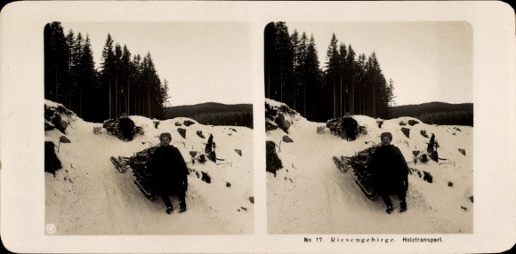 Stereo Photo Giant Mountains, Wood Transport in Winter, Sled – 11581621