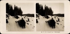Stereo Photo Giant Mountains, Wood Transport in Winter, Sled – 11581621