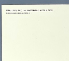 Sophia Loren Art Print Card Photo By Milton H. Greene 1966 Fotofolio 4.25”x 6”