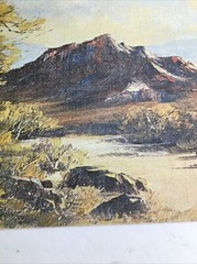 Vintage MCM Art Treasures Inc John Loo Nature Lithograph on Canvas Unframed G3