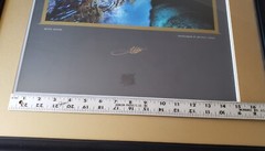 SIGNED Lithochrome Print MYSTIC WATERS Michael Fatali 21.5″x29″ Frame NICE!