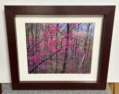 Rodney Lough, Jr. Original Landscape Photograph Custom Framed *HollywoodPosters»