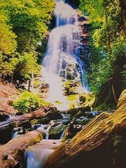 Canvas Photo Mingo Falls Cherokee, NC 16×20 Signed Ltd Edition Gallery Wrapped