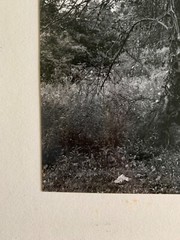 Emmet Gowin «Untitled» (1968) Silver Gelatin Signed