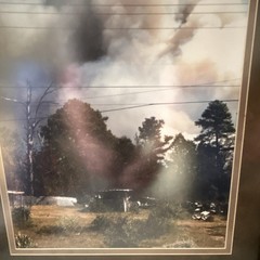 Lot of 3 Matted & Framed Color Wildfire Smoke Forest Photo Wall Art, Portrait