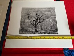Lot of 5 MARK CITRET Signed Photos With Hardcover Case – Old Halcott Cemetery
