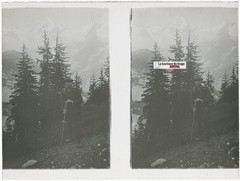 Hiker, Alpes Suisses, Stereo Photo Plate Glass, Black & White, 3 1/2×4 11/16in