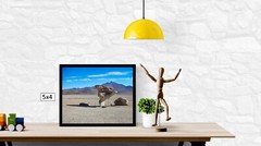 Rock Tree in Uyuni Desert, High Resolution Image, Many Formats, TV Art