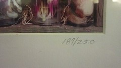 VTG FRAMED & MATTED PRINT- PHOTOGRAPH of TULIPS- Signed/Dated by Artist- 189/250