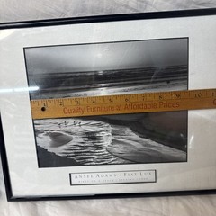Ansel Adams Birds on a Beach Evening Framed Framed 1966 Photo 12×14 Wall Art VTG