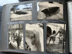 Old Photo Album Civilian with Flaws, Life in the GDR, /102