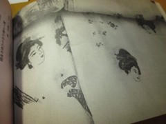 Shuji Terayama Sa-sa otatiai 1968 1st. edition Japan