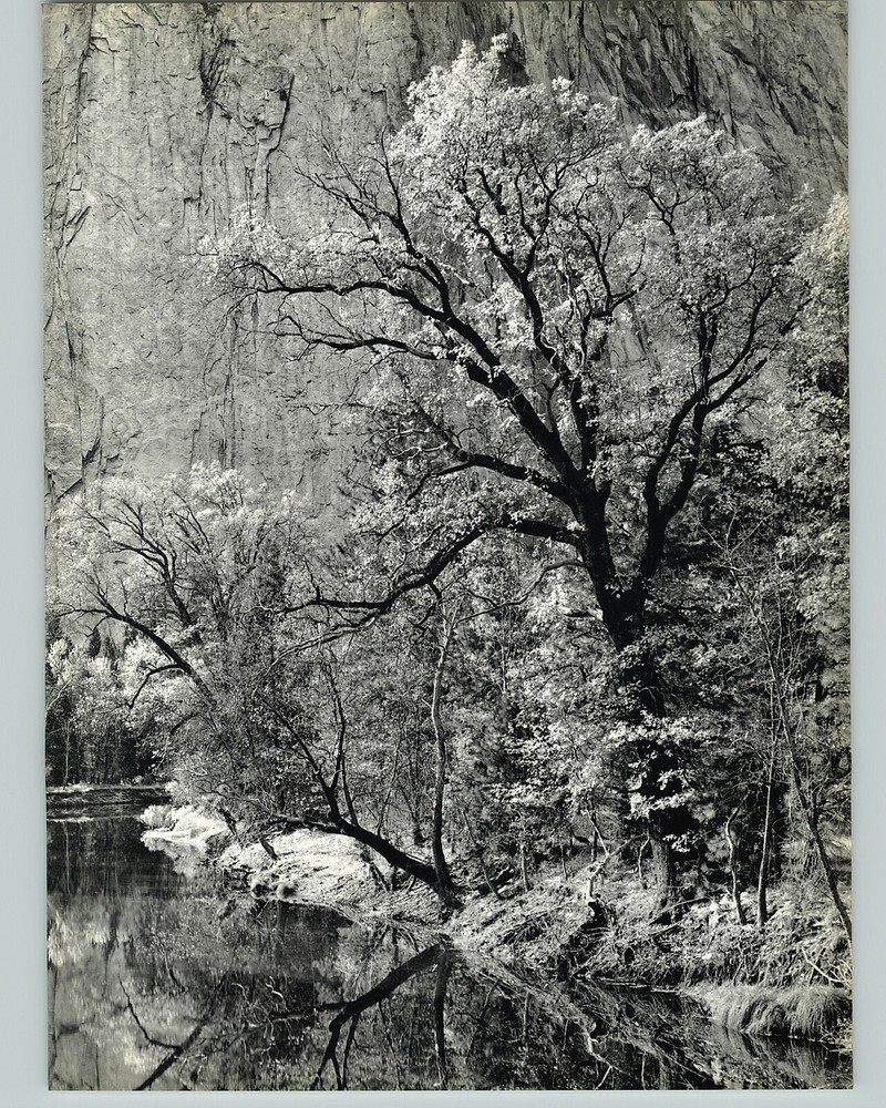 1938 1963 Ansel Adams Autumn Yosemite Valley Art Photo 16X20