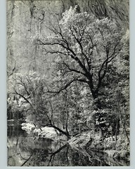 1938 1963 Ansel Adams Autumn Yosemite Valley Art Photo 16X20