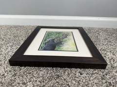 Mother Moose With Calves – Framed Photograph Wall Artwork with Museum Glass