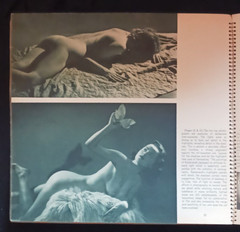 Photography by Bruno of Hollywood-Tasteful Nude Women + Handsome Men circa 1949
