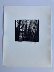JAMES FEE Signed SEPIA-TONED GELATIN SILVER PRINT Blurred Landscape Los Angeles