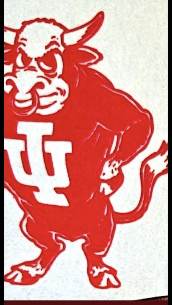 The Hoosier Mascot Buffalo