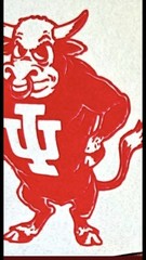 The Hoosier Mascot Buffalo