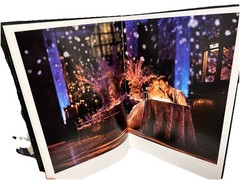 Darling Wedding Portrait Fashion Photography Boudoir Jerry Ghionis Sign 3D Glass
