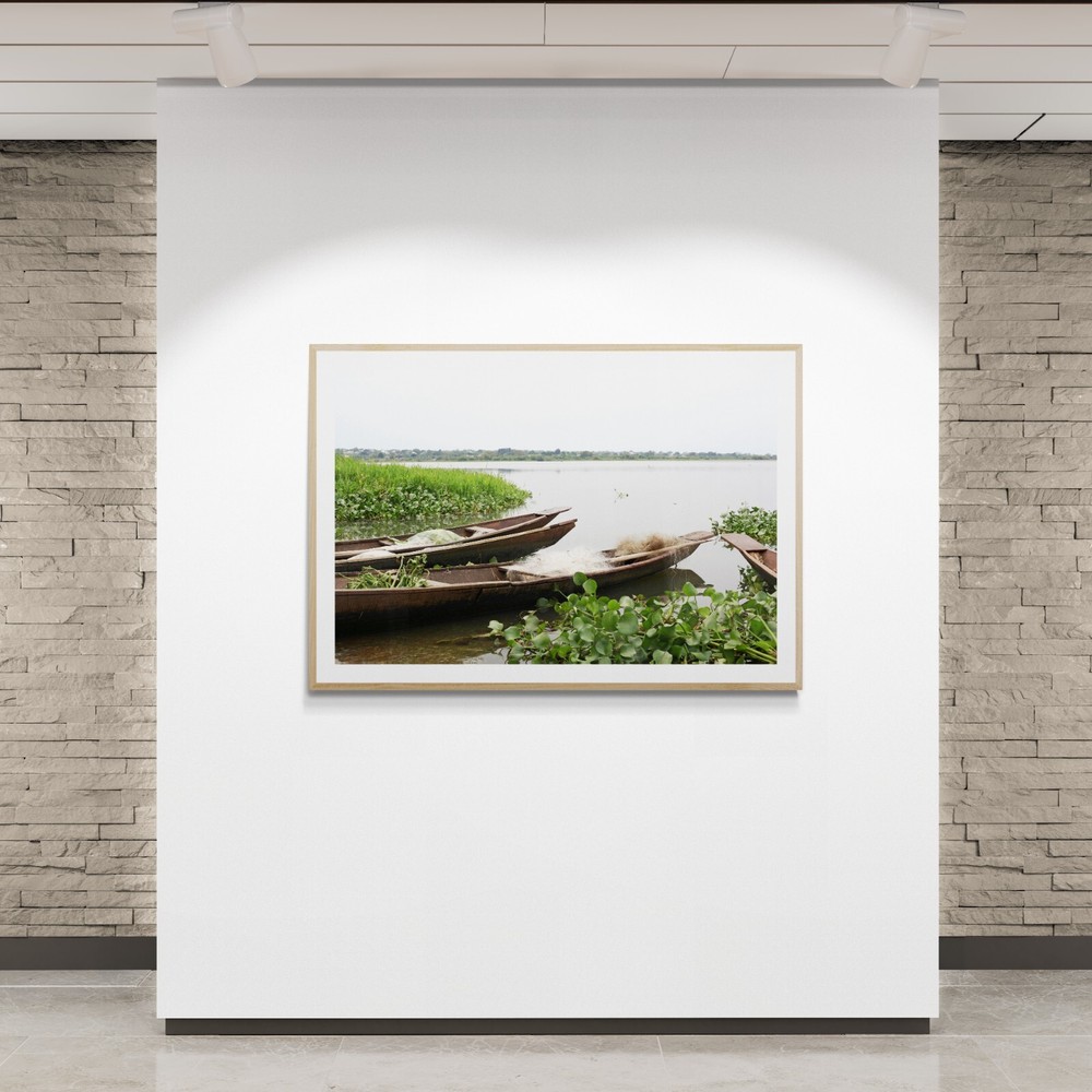 Water Hyacinth