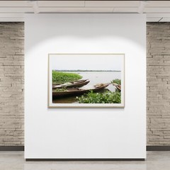Water Hyacinth