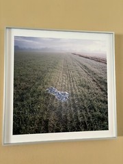Demetris Koilalous, Untitled, from the project “CAESURA / The Duration of a Sigh