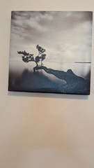Tierra Desnuda Canvas 3 pieces hanging Art 12”x11”