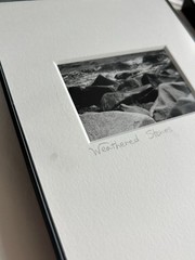 3 Black & White Minimal Modern Framed Photo Art Nature Titled Artist Signed
