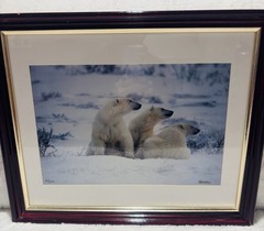 Mike Kelly Framed Limited Edition Photograph Polar Bears in Snow Signed 16/1200