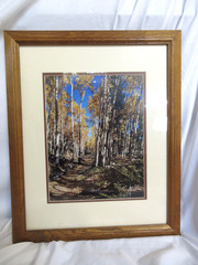 Framed Landscape Photography Aspen Trees Autumn Forest Path Rustic Wall Art