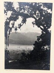 Hugo Brehme Photo Popocatépetl Mexican Black & White Fine Art Hand Signed Antiqu