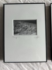 3 Black & White Minimal Modern Framed Photo Art Nature Titled Artist Signed