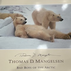 Thomas D. Mangelsen Signed Color Landscape Photo «Bad Boys of the Arctic»