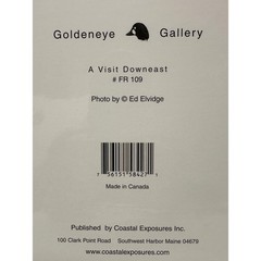 A Visit Downeast Photo Print by Ed Elvidge Coastal Maine Art Goldeneye Gallery