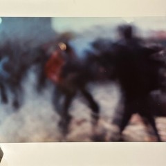 Janine Gordon Photograph 60″x72″ C-print Edition Grid Bike Kill Signed Fine Art