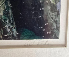Eliot Porter signed color photgraph