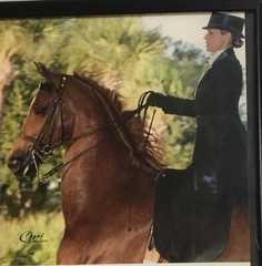 Cheri Prill Horse and Rider Framed Photography 11.5″ x 9″