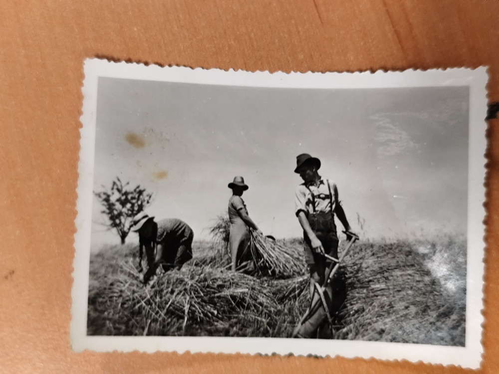 Photo Harvest Hay Harvest Farmer Agriculture Agricultural Equipment FQ