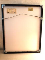 BLACKWATER PHOTOGRAPHY SINDED P. RIMSER PHOTO OF LILIE GLASS FRAMED16 BY 20 INCH