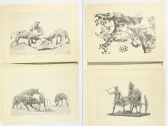 1927 Carl Akeley Photo Set Field Museum Natural History IL Taxidermy & Sculpture