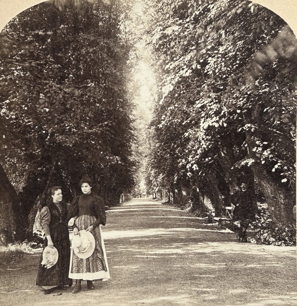 Vintage Stereo Photo 1897 Tirage Original Allée Ulriksdal