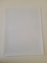 Maggie Taylor Original Phtograph 1992 #520-358-9872 Signed